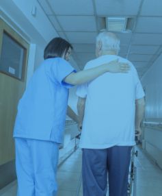 Accessibility & Support